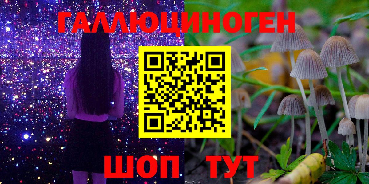 Псилоцибиновые грибы GOLDEN TEACHER  Вход с VPN  Рубцовск 
