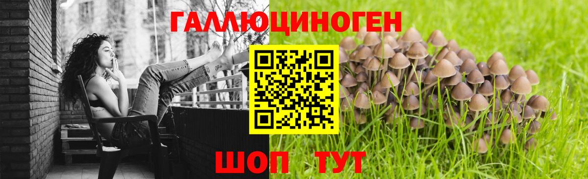 Галлюциногенные грибы ЛСД Рубцовск